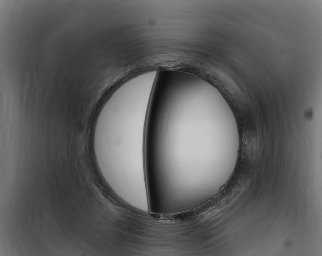 X0000100750404200806190828