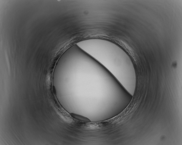 X0000100750405200806190828
