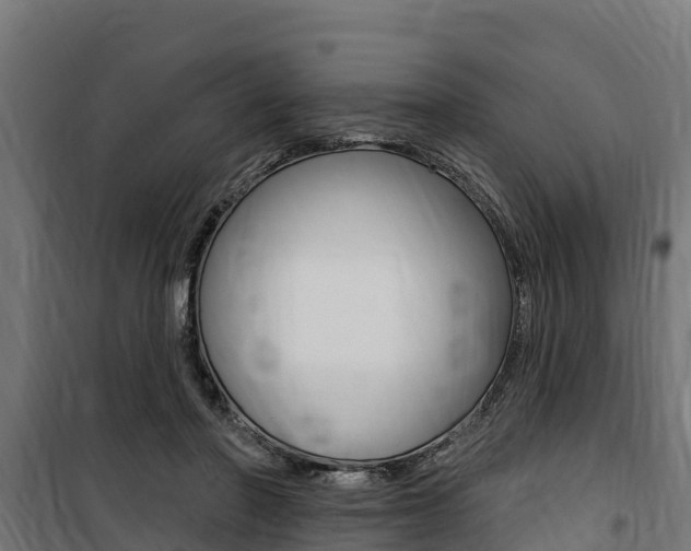 X0000100750406200806190828