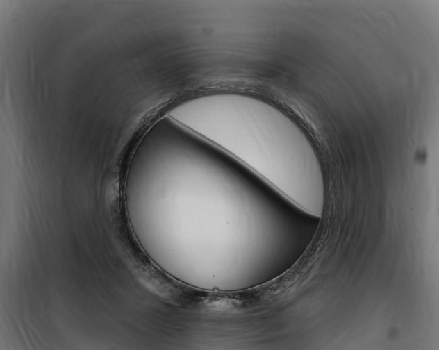 X0000100750407200806190828