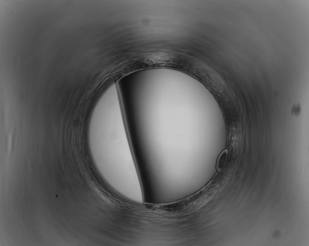 X0000100750408200806190828