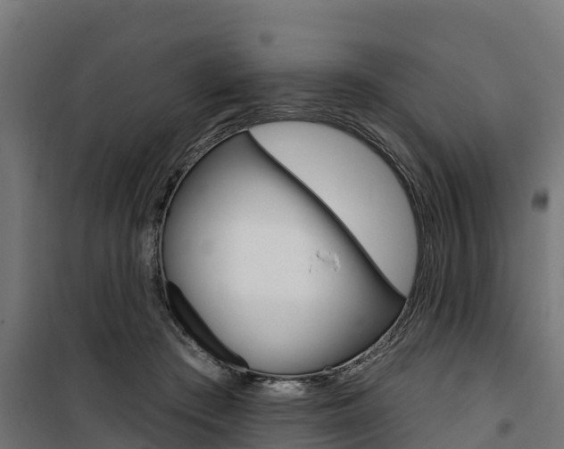 X0000100750409200806190828
