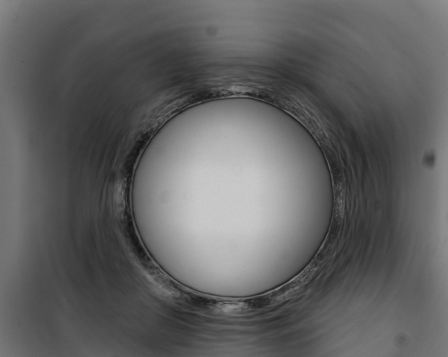 X0000100750410200806190828
