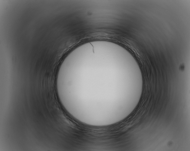 X0000100750411200806190828