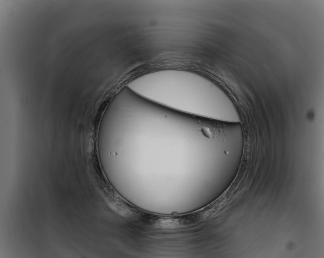 X0000100750413200806190828