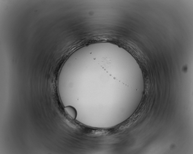X0000100750414200806190828