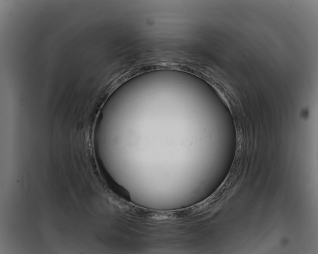 X0000100750415200806190828