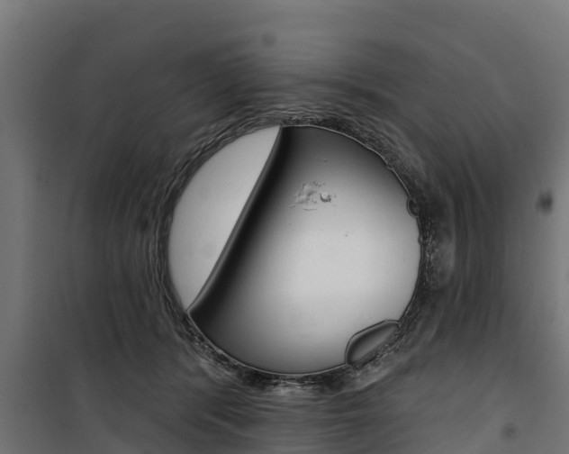 X0000100750416200806190828