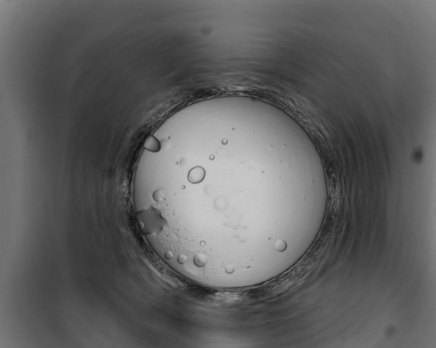 X0000100750418200806190827