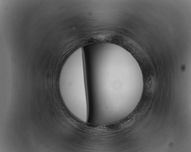 X0000100750420200806190827