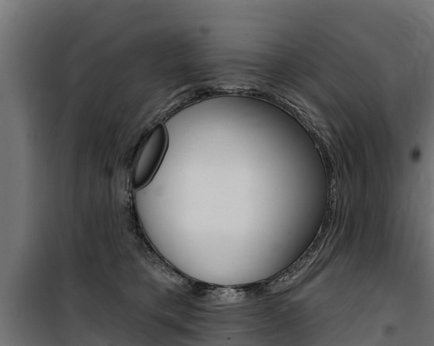 X0000100750421200806190827