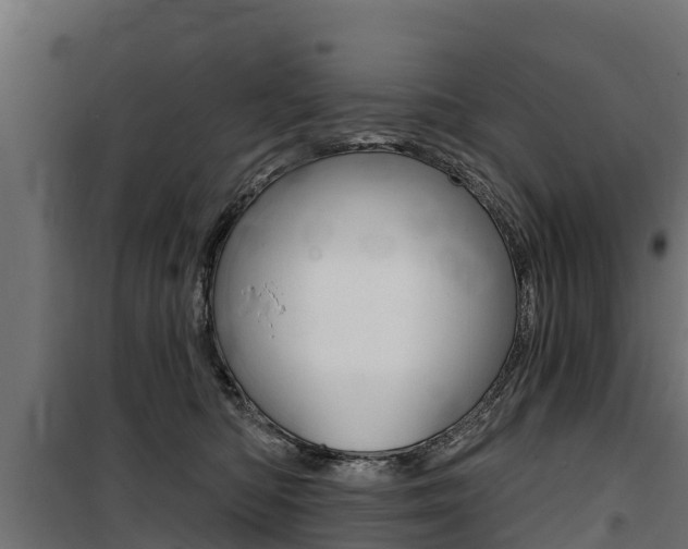 X0000100750422200806190827
