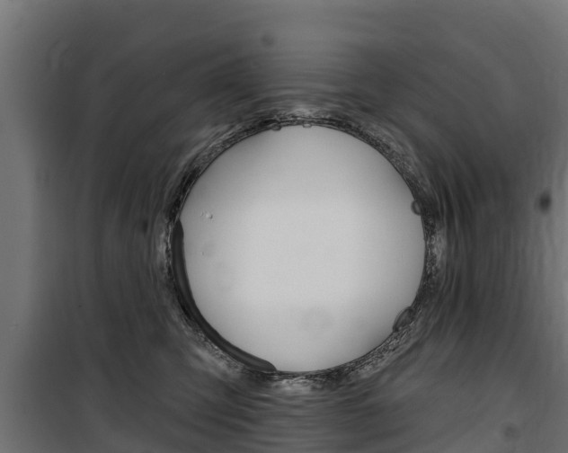 X0000100750423200806190827
