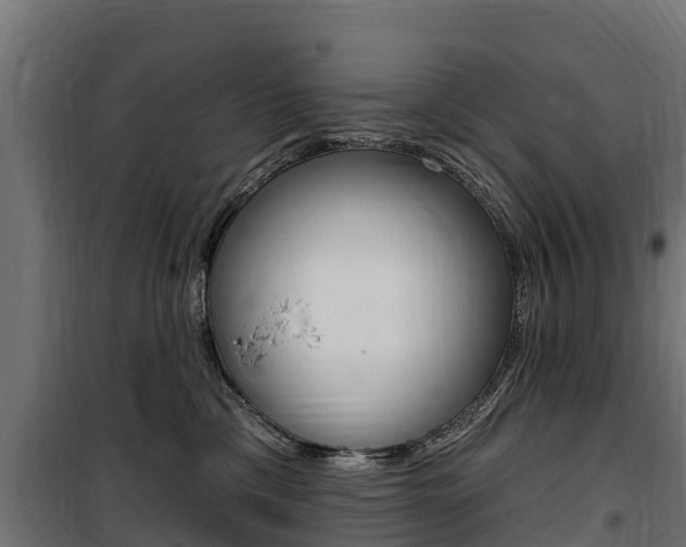 X0000100750425200806190827