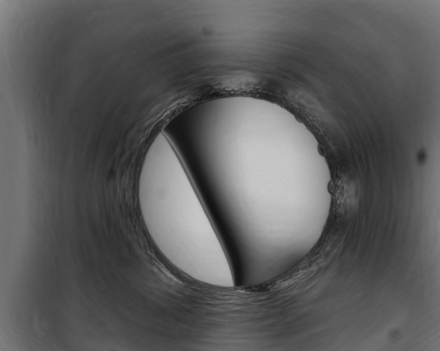 X0000100750428200806190827