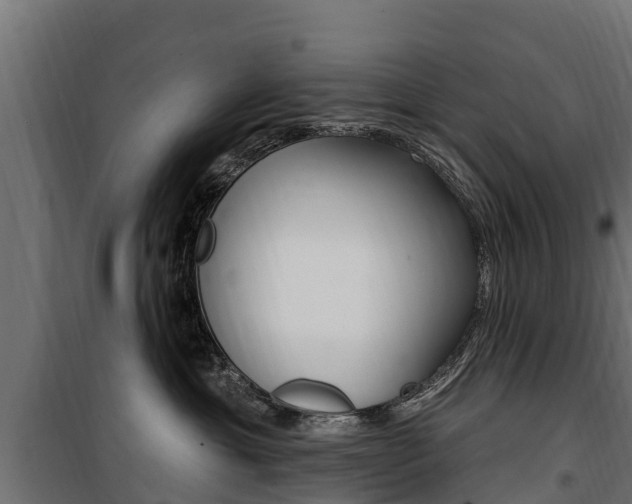 X0000100750429200806190827