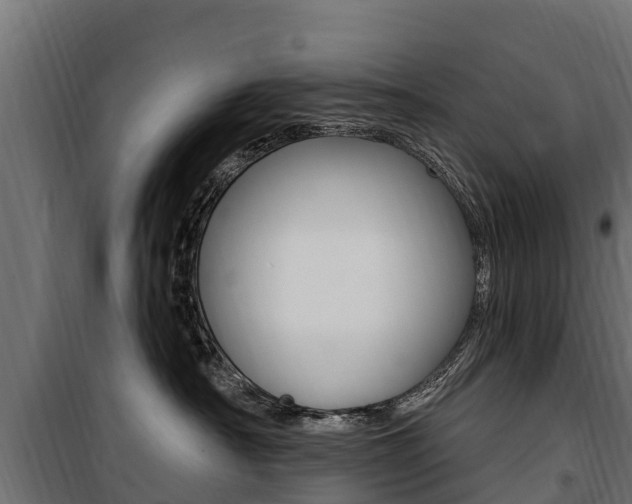 X0000100750430200806190827