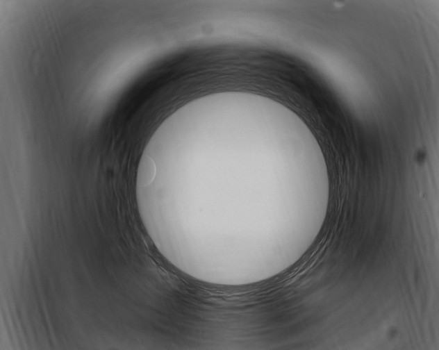 X0000100750431200806190827