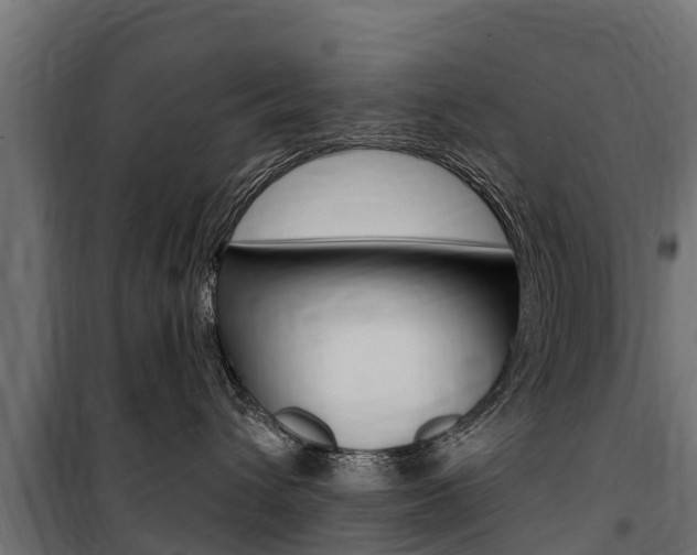 X0000100750432200806190827