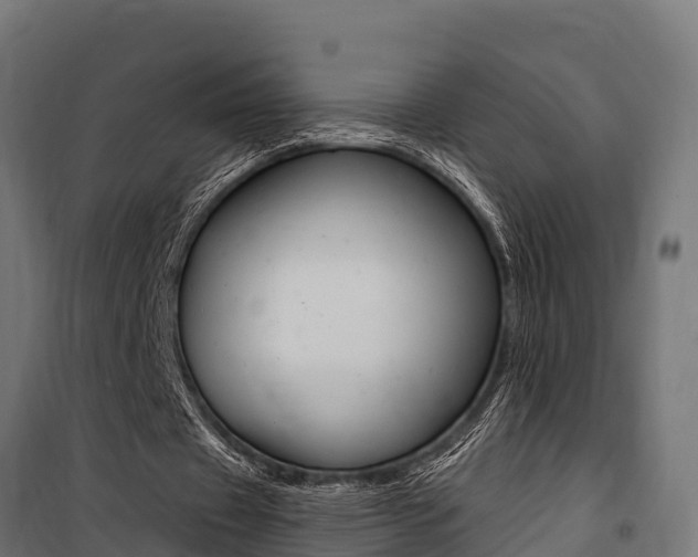 X0000100750433200806190827