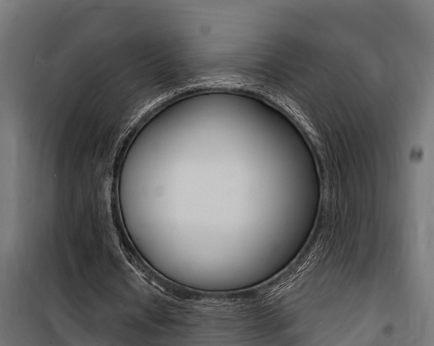 X0000100750434200806190827
