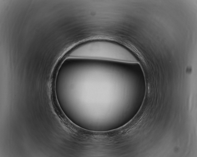 X0000100750436200806190827