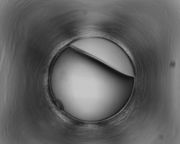 X0000100750437200806190827