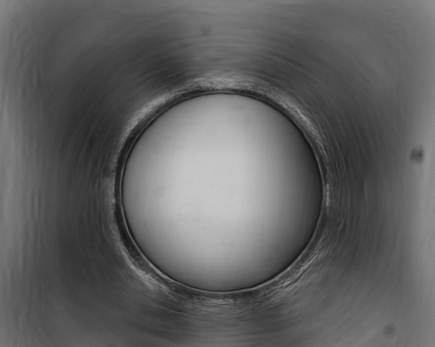 X0000100750438200806190827