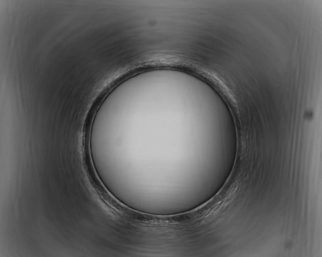 X0000100750439200806190827