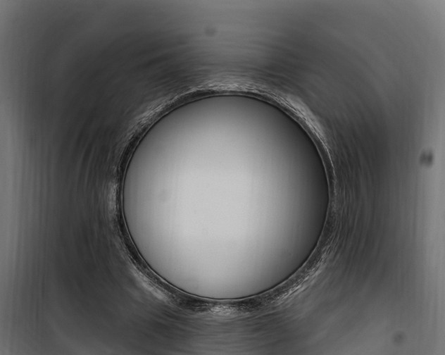X0000100750441200806190827
