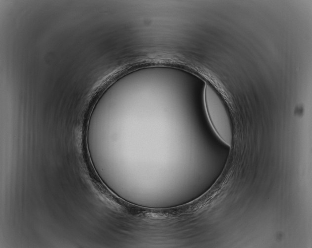 X0000100750442200806190827