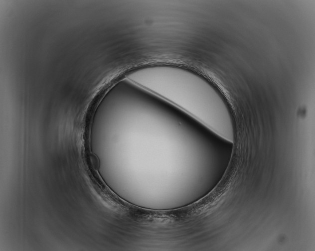 X0000100750443200806190827