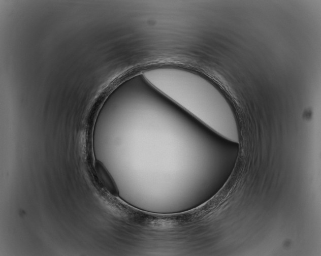 X0000100750444200806190827