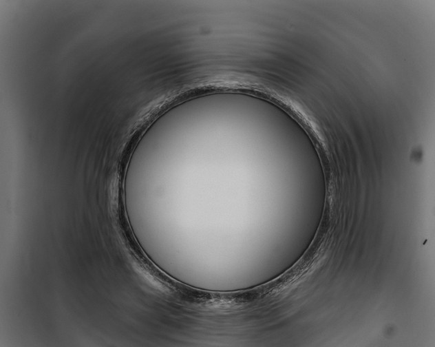 X0000100750445200806190827