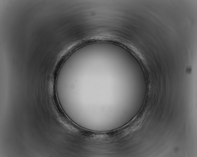 X0000100750446200806190827