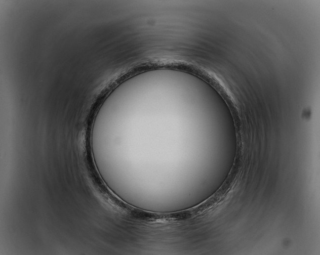 X0000100750447200806190827