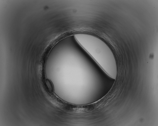 X0000100750448200806190827