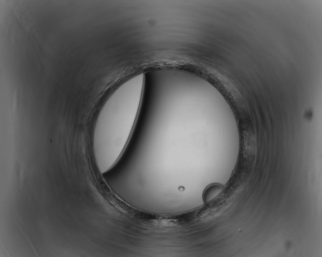 X0000100750451200806190827
