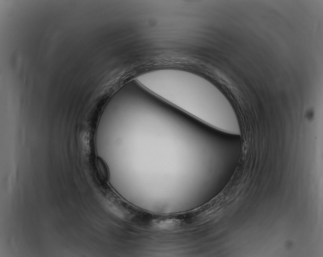 X0000100750452200806190827
