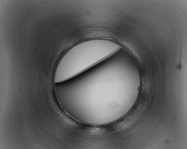 X0000100750453200806190827