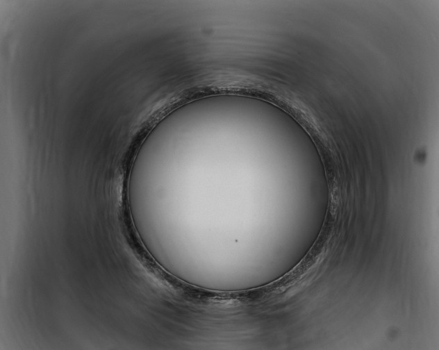 X0000100750454200806190827