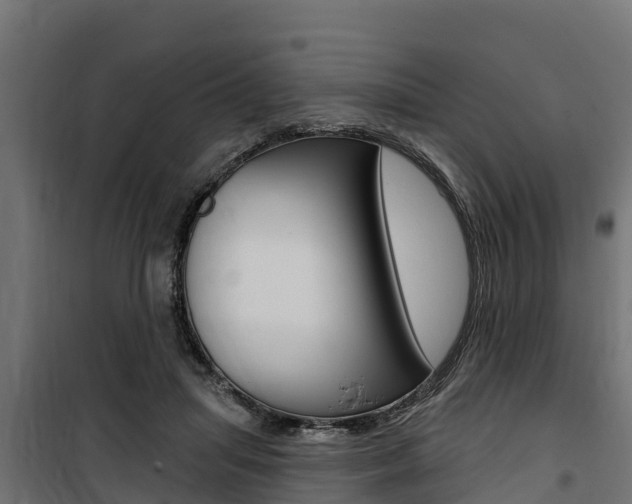 X0000100750455200806190827