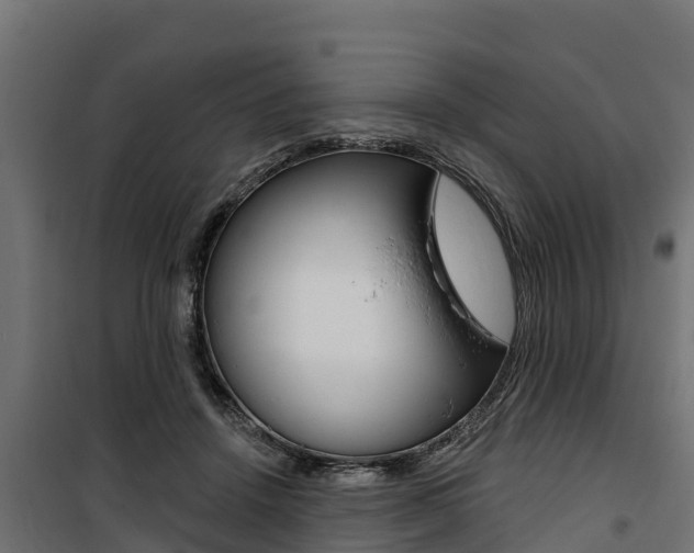 X0000100750456200806190827