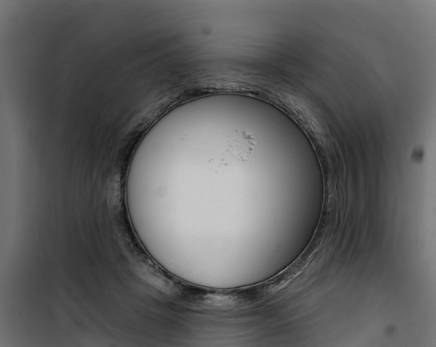 X0000100750457200806190827