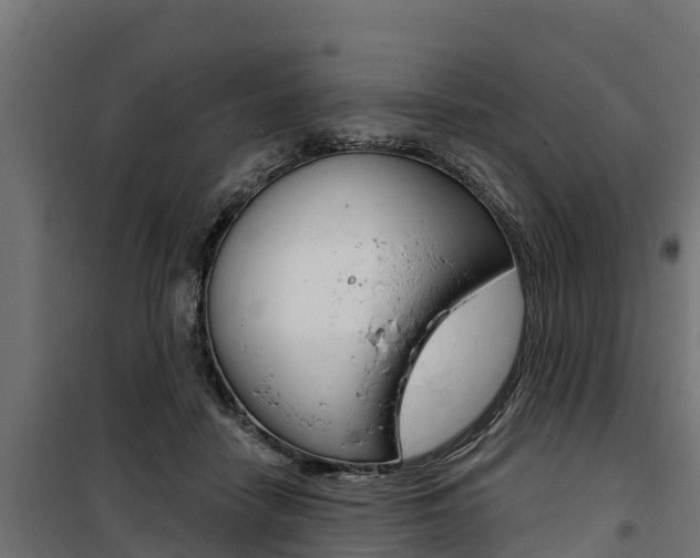 X0000100750458200806190827