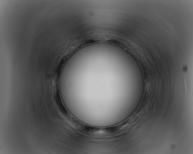 X0000100750460200806190827