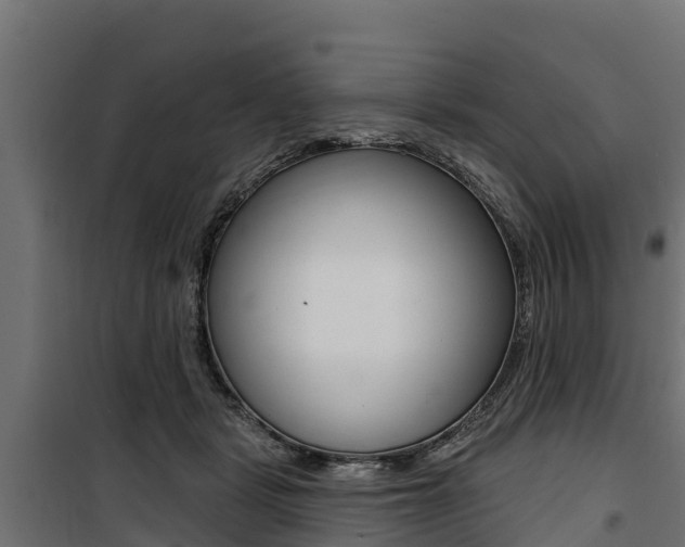 X0000100750461200806190827