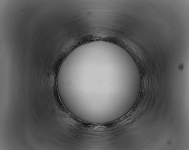 X0000100750463200806190827