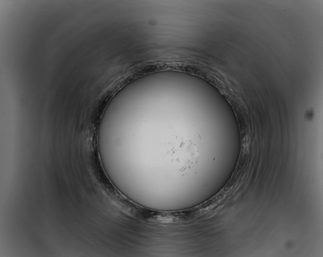 X0000100750464200806190827