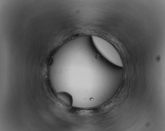 X0000100750465200806190827
